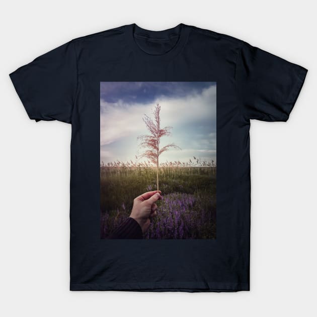 hand holding dry reed T-Shirt by psychoshadow